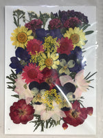 Copy of Pressed Flowers - PF5-2