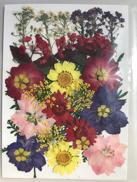 Pressed Flowers - PF5-11