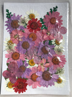 Pressed Flowers - PF5-21