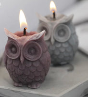 Owl Candle and Melt Silicone Mould